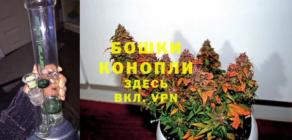 шишки Костерёво